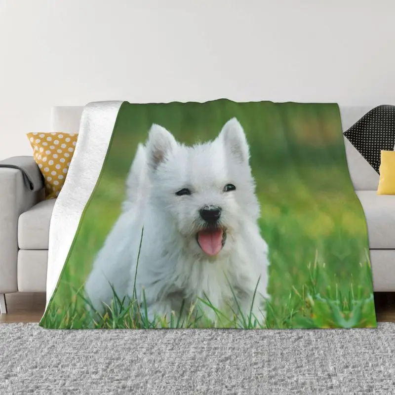 West Highland White Terrier Puppy Blankets Warm Flannel Westie Throw Blanket for Bedroom Office Bedspreads
West Highland White Terrier Puppy Blankets Warm Flannel Westie Throw Blanket for Bedroom Office Bedspreads