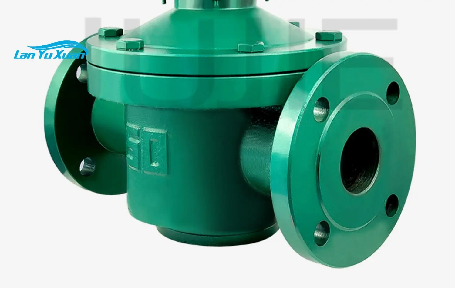 Elliptical gear flowmeter oil heavy oil flowmeter meter high precision and high viscosity high temperature asphalt glue
Elliptical gear flowmeter oil heavy oil flowmeter meter high precision and high viscosity high temperature asphalt glue