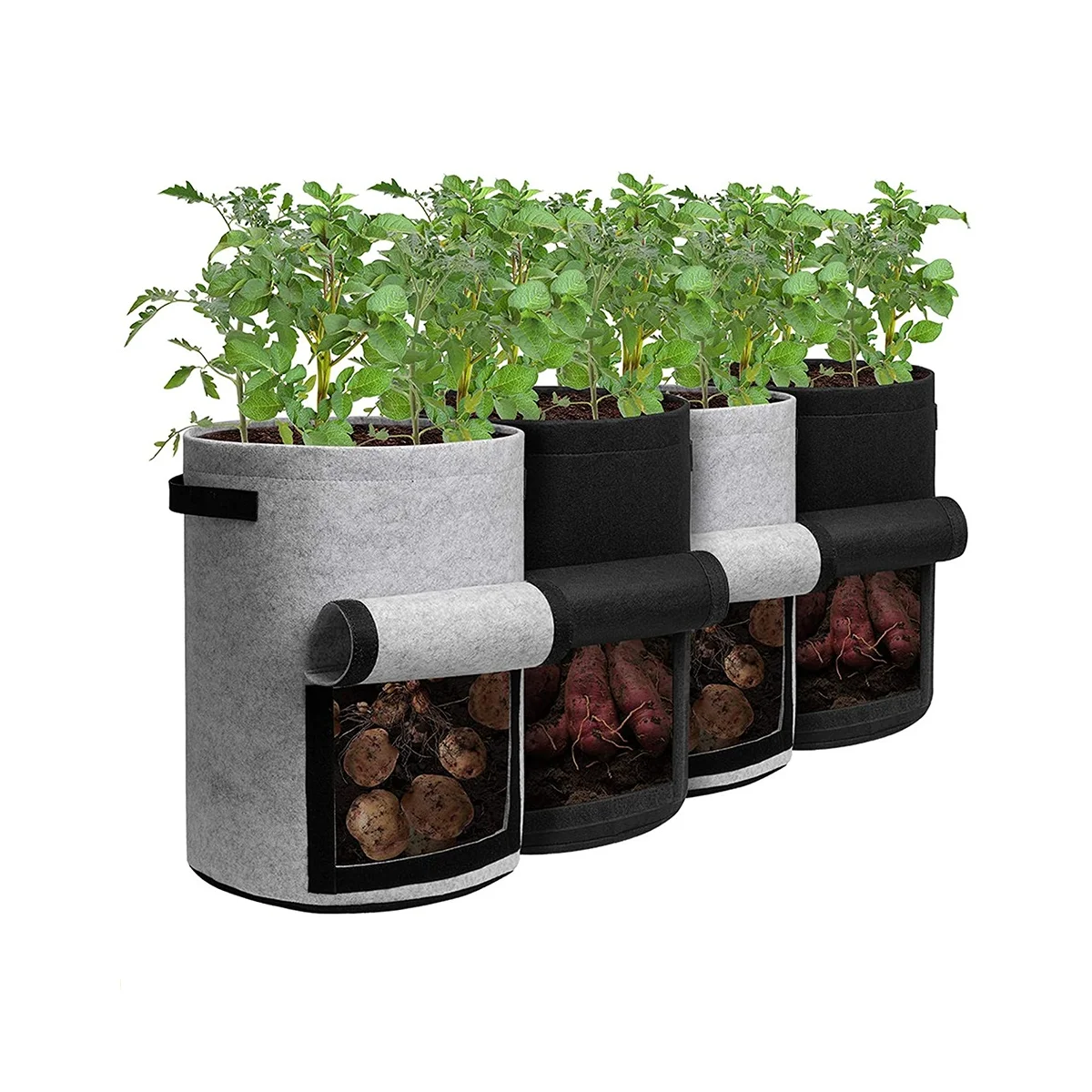 Potato Planting Bag with Lid 10 Gallons 4-Piece Flowerpot with Handle and Harvest Window, Suitable for Potatoes
Potato Planting Bag with Lid 10 Gallons 4-Piece Flowerpot with Handle and Harvest Window, Suitable for Potatoes