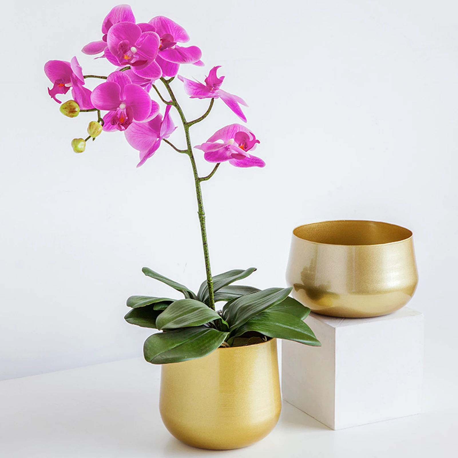 Morden Brass Ton ed Planters Round Cactus Plant Pot with Drainage Hole Golden Home Creative Gardening Gold Plant Pot
Morden Brass Ton ed Planters Round Cactus Plant Pot with Drainage Hole Golden Home Creative Gardening Gold Plant Pot