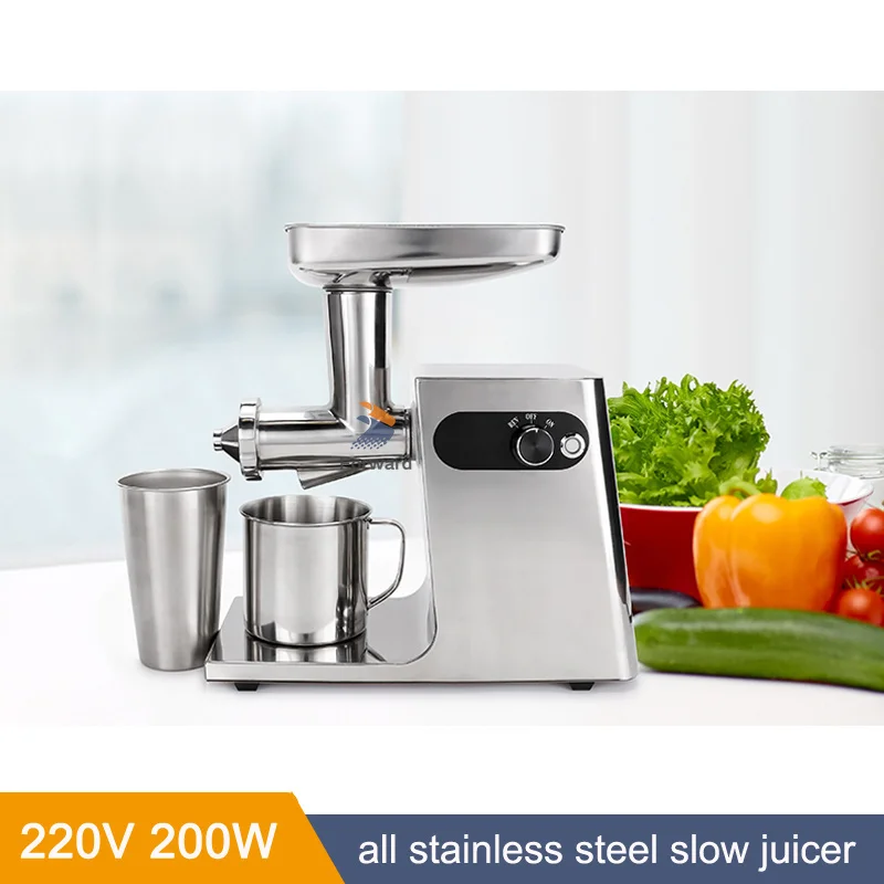 

Fruit and Vegetable Low Speed Juice Extractor 200W Slow Masticating Auger Juicer Compact Cold Press Juicer Machine