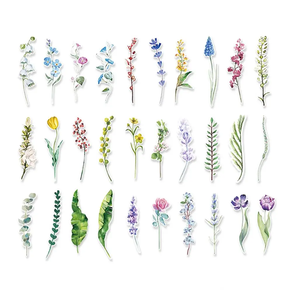 Selling Marcador 30 Pcs/box New Plants Flower Paper Bookmark Stationery Bookmarks Message Card School Supplies
Selling Marcador 30 Pcs/box New Plants Flower Paper Bookmark Stationery Bookmarks Message Card School Supplies