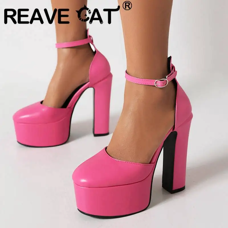 REAVE CAT Design Ladies Pumps Round Toe Ultrahigh Heel 14.5cm Platform 5.5cm Buckle Strap Plus Size 41 42 43 Wedding Sexy Shoes
REAVE CAT Design Ladies Pumps Round Toe Ultrahigh Heel 14.5cm Platform 5.5cm Buckle Strap Plus Size 41 42 43 Wedding Sexy Shoes