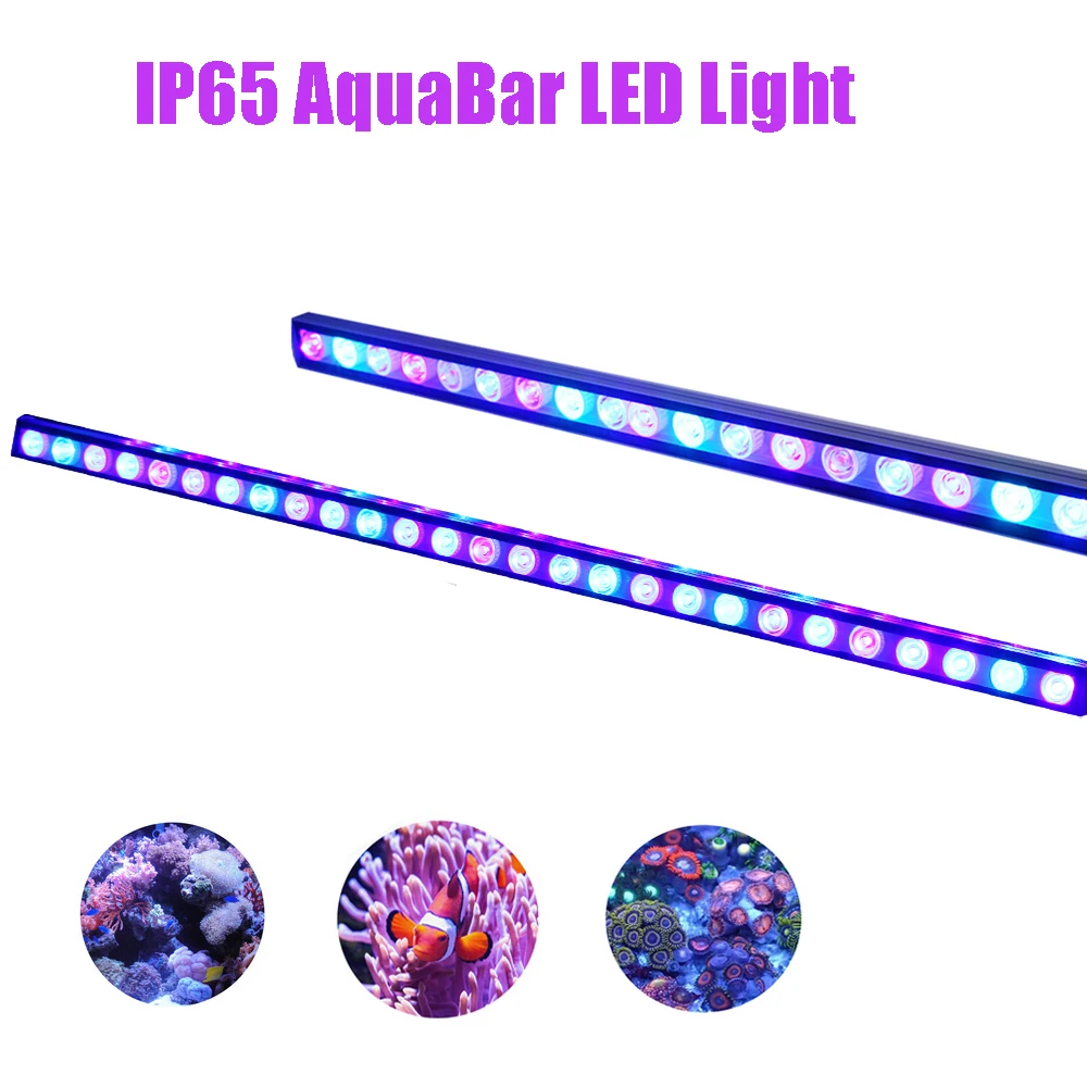 2 Bars 54W/81W/108W Led Aquarium Light with All Blue Spectrum Strip Light Beautiful Your Coral Reef Fish Tank Lamp
2 Bars 54W/81W/108W Led Aquarium Light with All Blue Spectrum Strip Light Beautiful Your Coral Reef Fish Tank Lamp