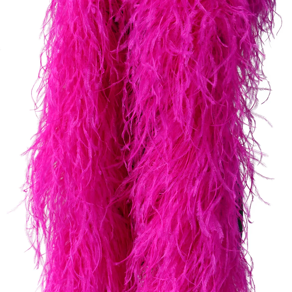 10 Ply Fluffy Ostrich Feathers Boa Decoration for Party Wedding Dress Shawl Clothing Sewing Crafts Plume Customed 1 Meter
10 Ply Fluffy Ostrich Feathers Boa Decoration for Party Wedding Dress Shawl Clothing Sewing Crafts Plume Customed 1 Meter