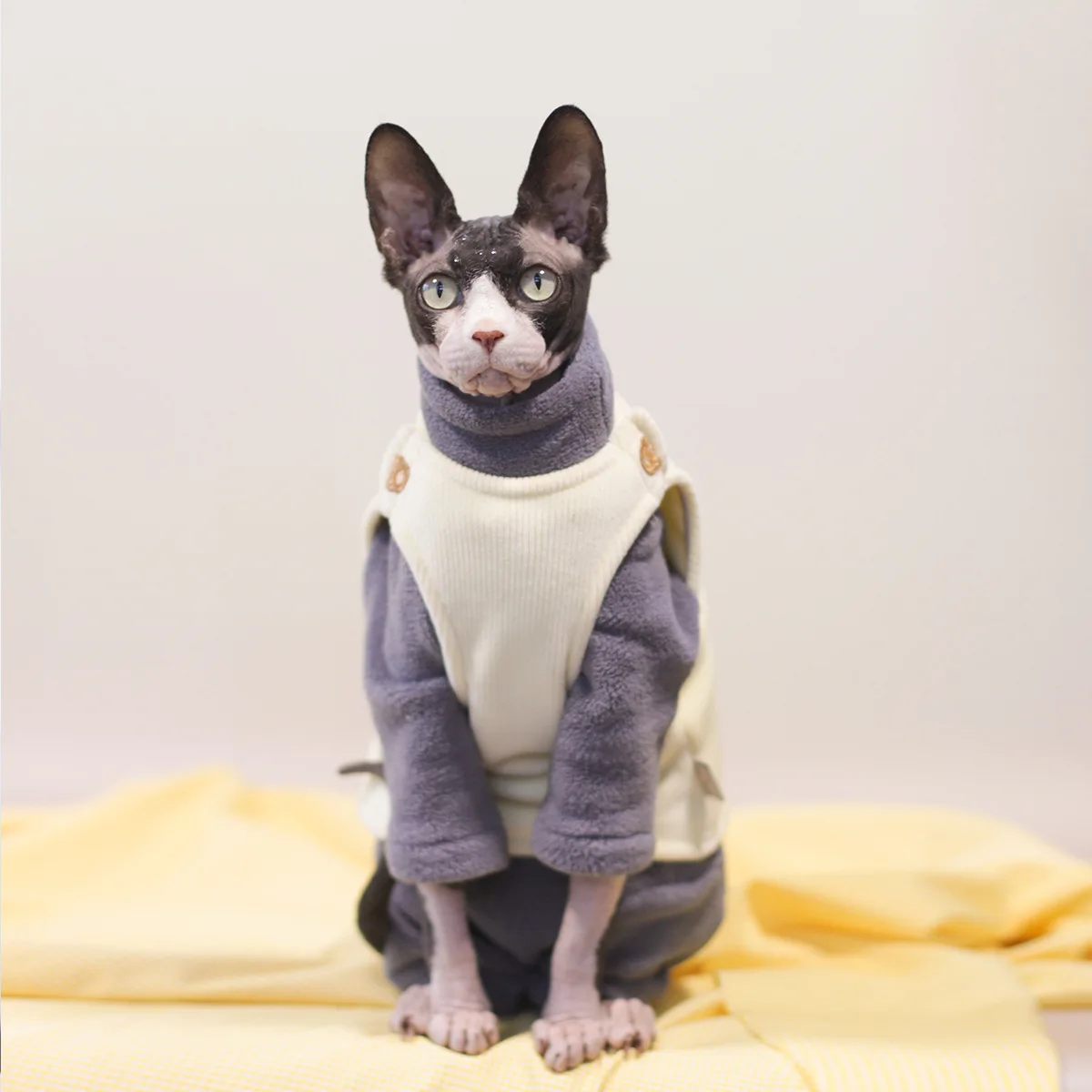 Clothing for cats luxury sweater Thicken elastic vest sphinx winter clothes garfield christmas costume halloween outfit for pet
Clothing for cats luxury sweater Thicken elastic vest sphinx winter clothes garfield christmas costume halloween outfit for pet