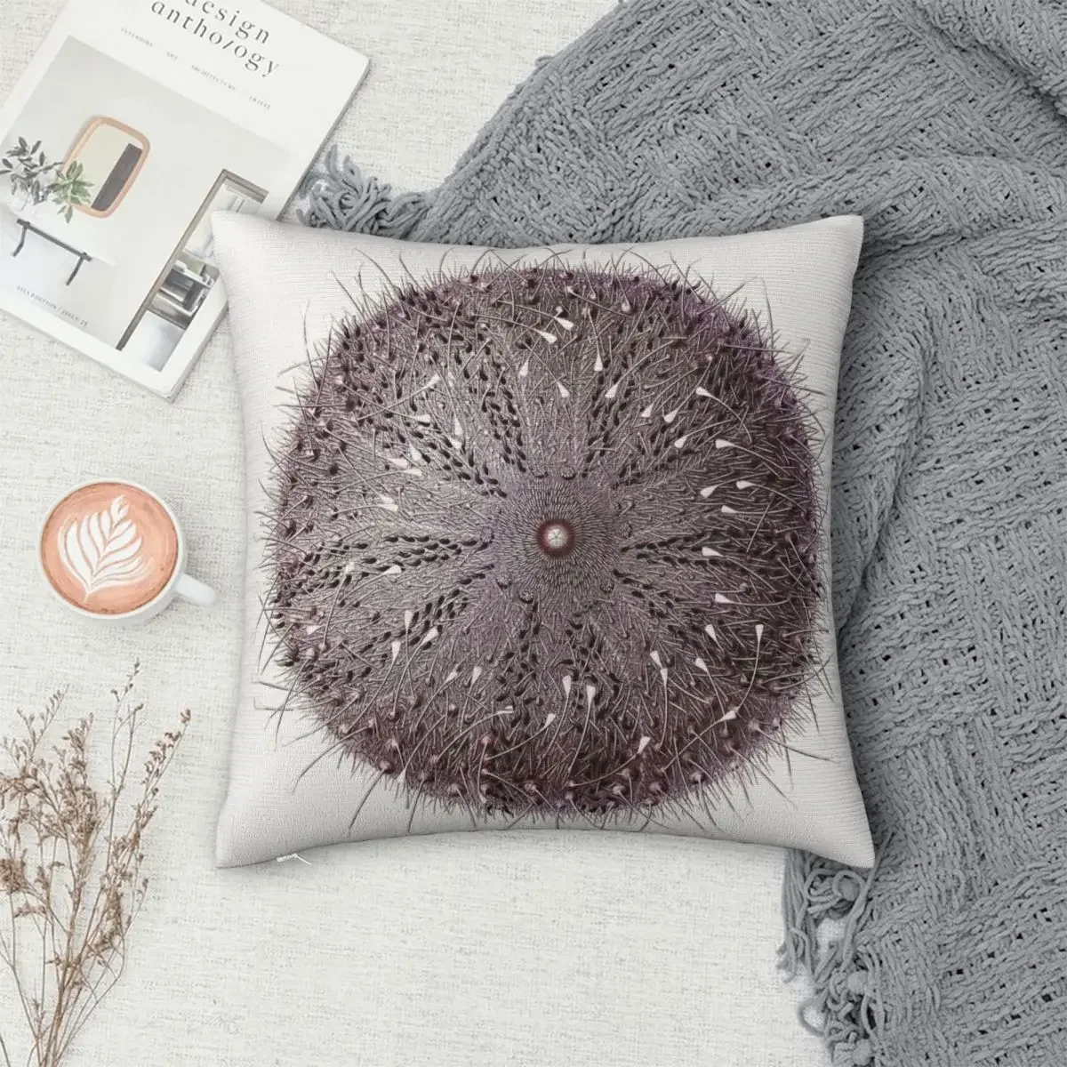 Antique Sea Urchin By Albert I Pillowcase Polyester Pillows Cover Cushion Comfort Throw Pillow Sofa Decorative Cushions Used
Antique Sea Urchin By Albert I Pillowcase Polyester Pillows Cover Cushion Comfort Throw Pillow Sofa Decorative Cushions Used