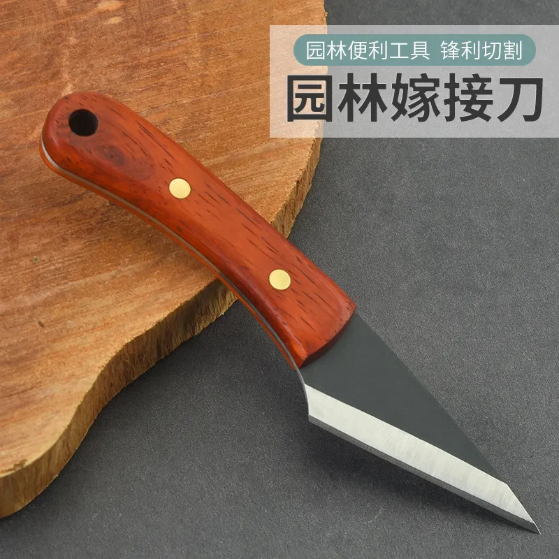 Imported Front Steel Grafting Budding Knife Manual Knife Horticultural Budding Professional Fruit Tree Knife
Imported Front Steel Grafting Budding Knife Manual Knife Horticultural Budding Professional Fruit Tree Knife