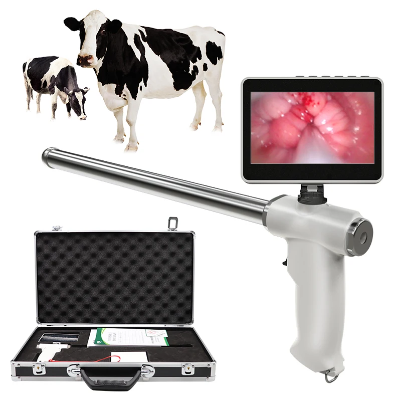 Visual Cows Endoscope Sperm Gun Dairy Cattle Veterinary Breeding Insemination Examine Tools Cow Artificial Insemination Device
Visual Cows Endoscope Sperm Gun Dairy Cattle Veterinary Breeding Insemination Examine Tools Cow Artificial Insemination Device