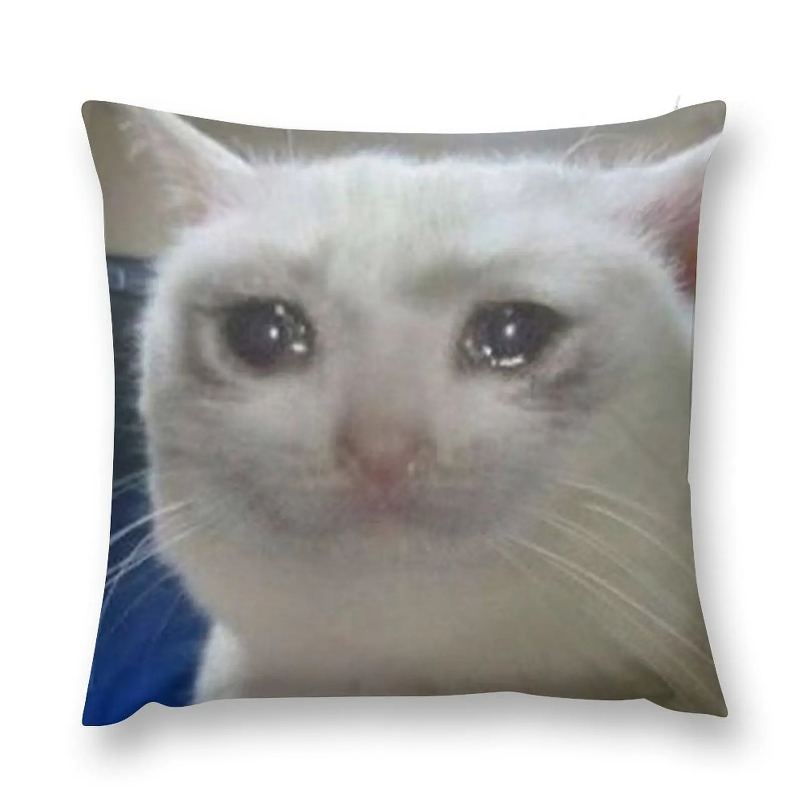 Crying Cat Meme Throw Pillow Cushions Cover pillow pillowcase christmas pillow case
Crying Cat Meme Throw Pillow Cushions Cover pillow pillowcase christmas pillow case