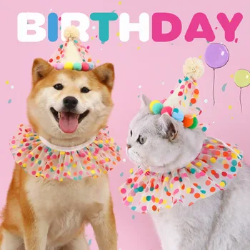 INS 생일 고양이 모자와 칼라 세트 귀여운 폼폼 볼 모자 캔디 도트 레이스 목걸이, 개 생일 파티 세트, 애완 동물 생일 용품