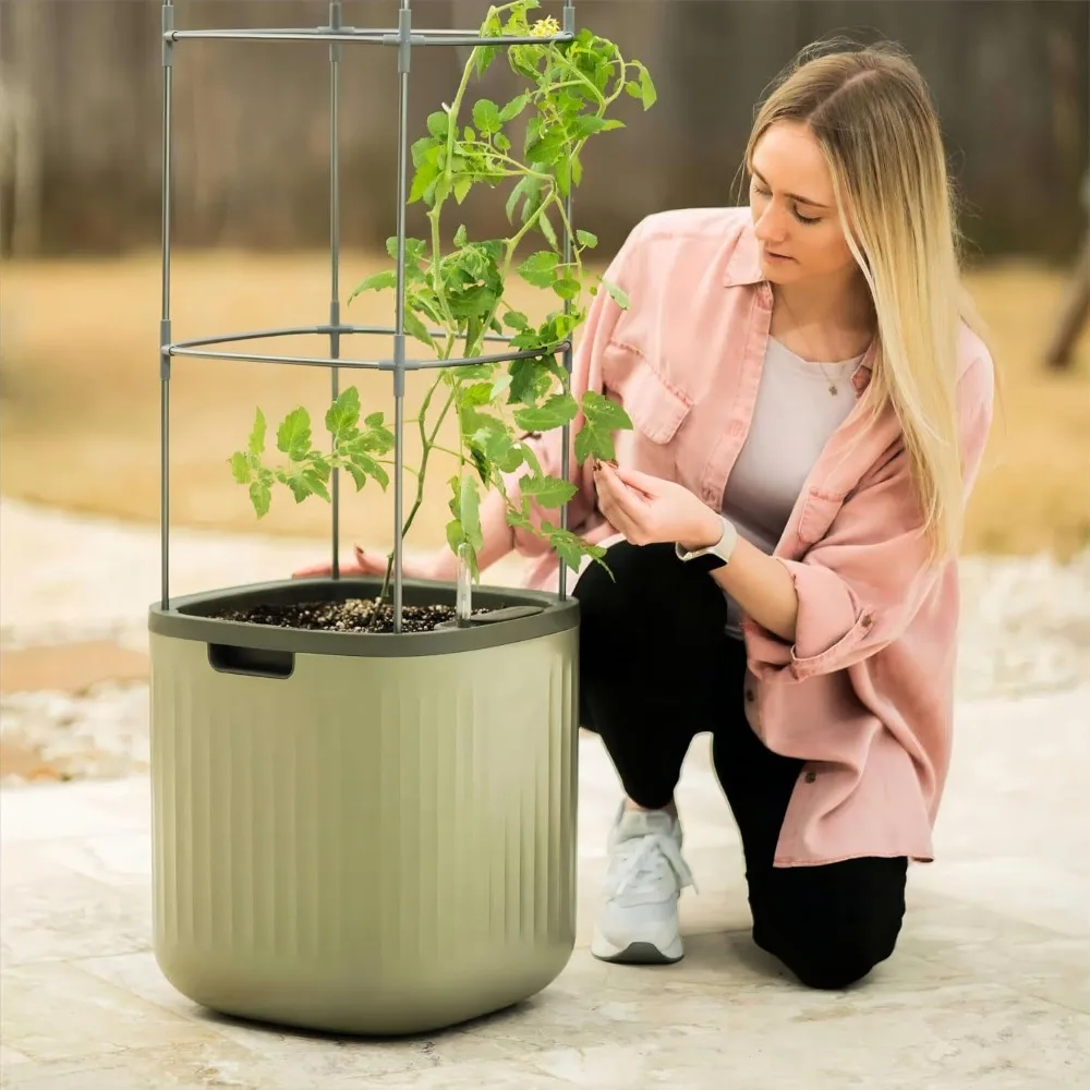 Tomato Planter Box,with Trellis Self-Watering Rolling Raised Garden Bed for Climbing Vegetables Plants Cage,Planter Box
Tomato Planter Box,with Trellis Self-Watering Rolling Raised Garden Bed for Climbing Vegetables Plants Cage,Planter Box