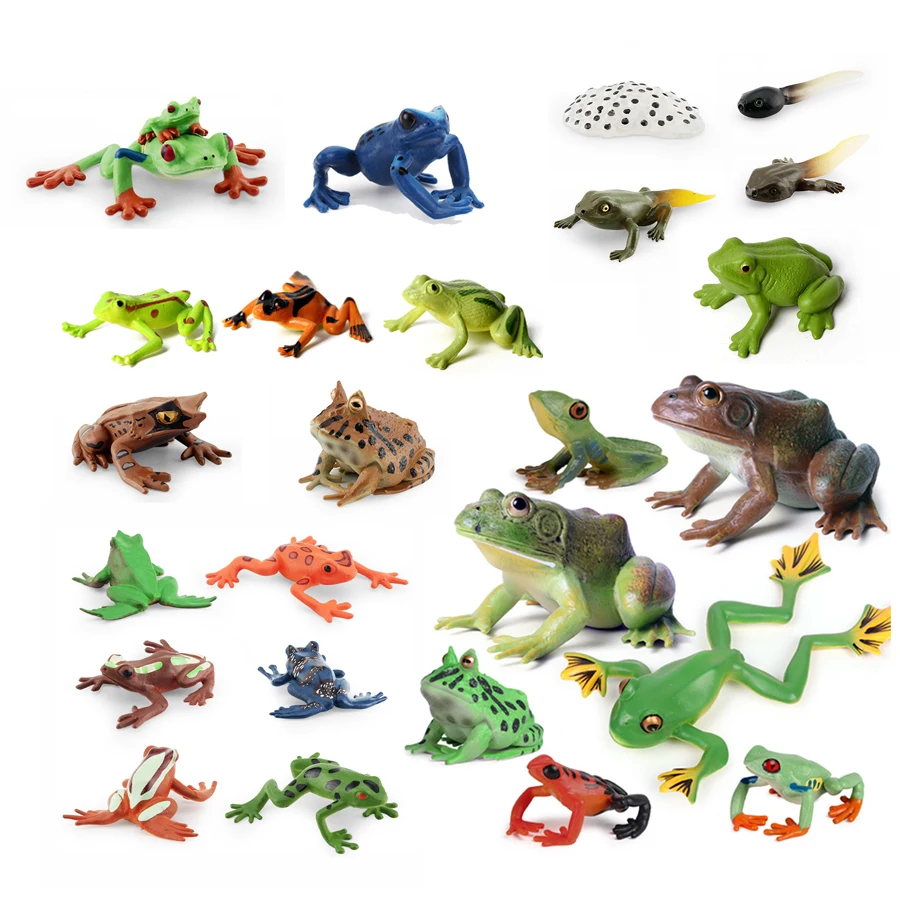 Realistic Amphibians Frogs Life Cycle Figures Rainforest TreeFrog Bullfrog Animals Model Decoration Collection Party Favors Toys
Realistic Amphibians Frogs Life Cycle Figures Rainforest TreeFrog Bullfrog Animals Model Decoration Collection Party Favors Toys