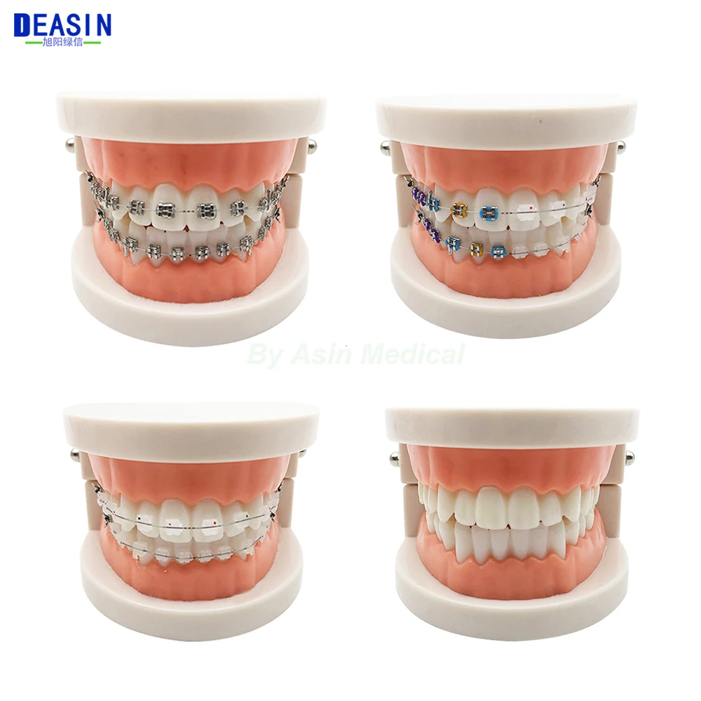 DEASIN Dental Teaching Model Standard Orthodontic Teeth Model With Braces Metal / Ceramic Brackets For Dentistry Education Study
DEASIN Dental Teaching Model Standard Orthodontic Teeth Model With Braces Metal / Ceramic Brackets For Dentistry Education Study