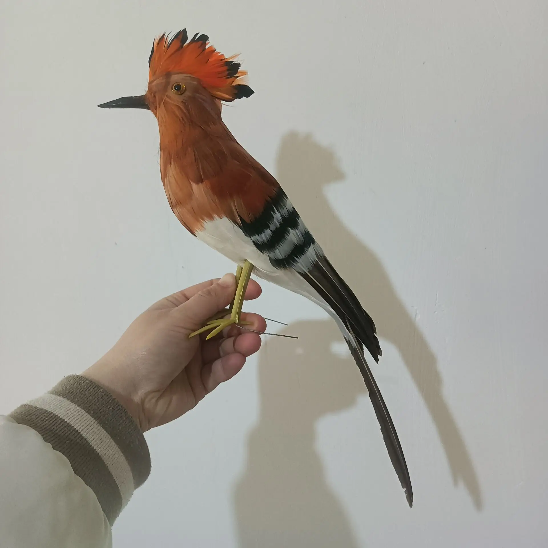 Игрушечная модель Hoopoe из пенопласта и перьев, темно-коричневая Фотография, подарок около 32 см, c2784
Игрушечная модель Hoopoe из пенопласта и перьев, темно-коричневая Фотография, подарок около 32 см, c2784