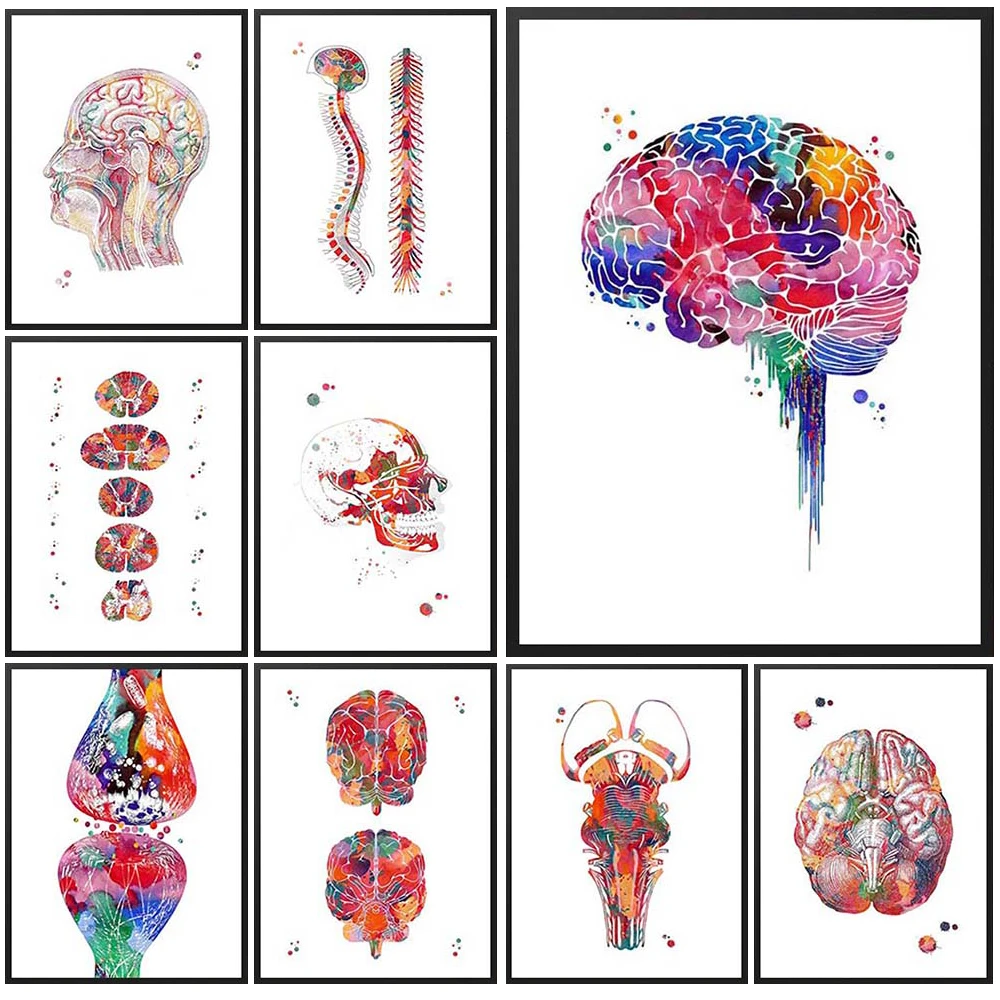 Medicine Anatomy Brain Spine Posters Nordic Poster Wall Art Canvas Painting Home Decor Wall Pictures For Living Room Unframed
Medicine Anatomy Brain Spine Posters Nordic Poster Wall Art Canvas Painting Home Decor Wall Pictures For Living Room Unframed