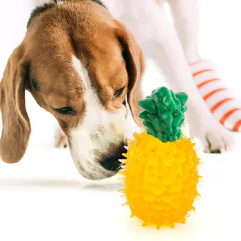 Dog Toy Fruits
Dog Toy Fruits