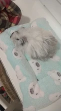 Bed-House Hamster-Accessories Hedgehog Nest Guinea-Pig Chinchilla Squirrel Small Animal