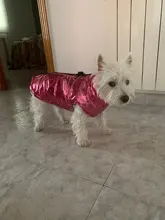 Ropa para perros pequeños ropas impermeables para perro cachorro mascota chaqueta invierno cálido chaleco perro abrigo ropa para Chihuahua Bulldog Francés