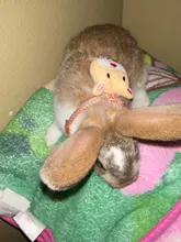 Chaleco protector antiescape para perros y gatos, arnés suave y ajustable, correa para caminar