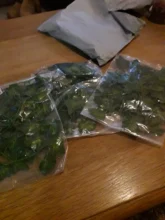 Vine Terrarium-Decoration Reptile-Lizards Rest-Plants Climb Leaves Artificial Chameleons