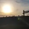 V***l