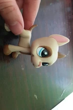LPS-tienda de mascotas, Gato de juguete de serie, Gato Tigre, salchicha, perro pastor, juguete de acción, colección de pasatiempo, regalo