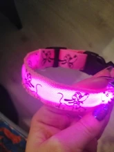 Cheervivi-Collar de nailon con luz LED ajustable para mascotas, Collar con brillo para perro, suministros para perro, venta al por mayor