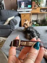Pet-Id-Tags Collar Free-Engraved Customized Genuine-Leather Puppy-Nameplate Dog Adjustable