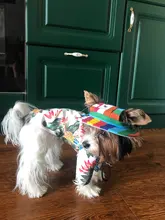 Dog-Cap Headdress-Accessories Puppy Beach-Visor Ear-Holes Dogs Small with for Canvas-Cap