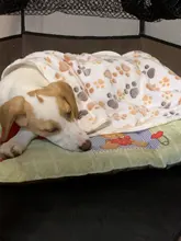 Mantas de cama de invierno para perro, manta polar cálida y suave al tacto de gran tamaño para perros, gatos y cachorros, productos para mascotas