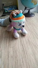 20cm Peluche pata patrulla perro de Peluche mariscal Everest rastreador Chase Skye de Peluche muñeca animé de Peluche juguetes de Peluche juguete para regalo
