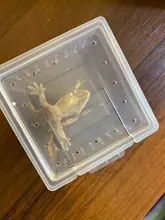 10x caja de alimentación jaula para reptil incubación contenedor tanque de cría claro vivero de reptiles terrario insecto caja de crianza comida alimentación Bo