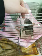 Hammock Swing-Toys Pet Hamster Pets Chinchilla Guinea-Rabbit-Samll Breathable Kitten