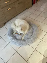 Cama larga de felpa para perros y gatos, redonda, para mascotas pequeñas, grandes y medianas, almacén en el extranjero, envío directo