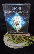 Games Deck-Board Oracle-Card Tarot Divine Instruction Fate Animals Family Guidance