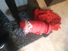 Perro ropa para mascotas Casual con capucha abrigo otoño perros grandes abrigo chaqueta ropa Labrador traje de impresión en Color de gran tamaño