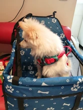 Portador de Mascota para coche, bolsa de viaje para asiento de perro y gato, impermeable, plegable, bolso para cachorro, alfombrilla, cubierta, canasta de Seguridad, 1 Uds.