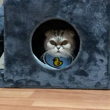 Accesorios para Mascotas, Baberos con lazo para gatos, Bandana para Perros, Accesorios para Perros, bufanda, productos para Mascotas