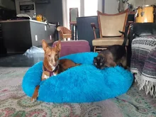 Cama de perro suave juguetes de peluche Donut sátiro ronda perro perrera Ultra lavables suaves perro gato cojín de cama de sofá cálido Venta caliente