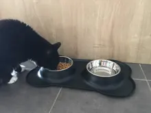 Cuenco antideslizante doble para perro con alfombrilla de silicona, cuencos de Alimentación de Mascotas duraderos de acero inoxidable Alimentador de agua para perros y gatos