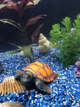 Aquarium Ornament Turtle-Decoration Polyresin Artificial-Fish-Tank 1pcs Supply Stylish