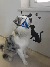 Collar de cabeza de entrenamiento para perros, arnés de nailon con cuello Halter, creativo, para todas las estaciones