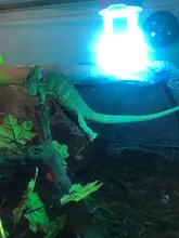 2 unids/set mascotas hamaca cama para dormir malla juguetes Swing tela Oxford para reptil serpiente lagarto subir productos con copa de succión