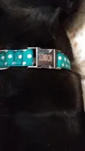 Collar personalizado para perro, collares para mascotas de nilón con estampado de puntos para mascota mediana grande, Pitbull, rojo, azul y negro