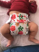 ElfDiaper-cubierta de pañal sin bolsillo, pañales de tela lavables para bebé
