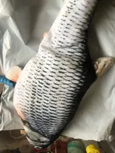 Electronic Flopping Cat Kicker Fish Toy Realistic Flopping Fish Wiggle Fish Catnip Toys