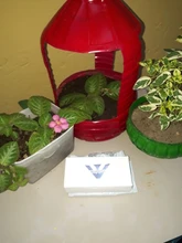 NIBOSI-Reloj de pulsera de cuarzo para hombre, cronógrafo de lujo de marca famosa, informal, a la moda, estilo militar