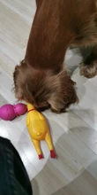 Dog-Toy Rubber Pet-Squeaker-Toys Screaming Chicken Interactive-Chewing Funny Cleaning-Teeth