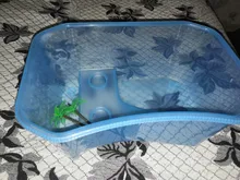 Vivarium-Box Platform Feeding-Box Tortoise Basking-Ramp Turtle Reptile Home-Aquarium